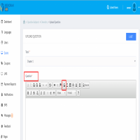 CTS Exam introduces new feature to add “video link” in “solution report”